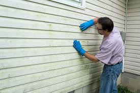 Best Vinyl Siding Installation  in Oasis, CA